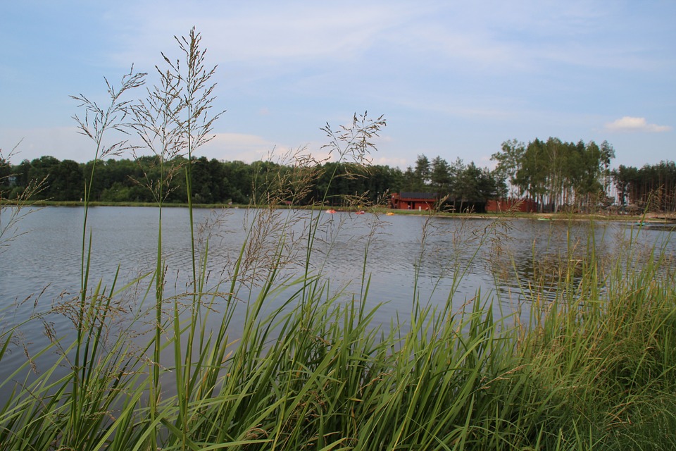 Bezpiecznie nad wodą - Zdjęcie główne