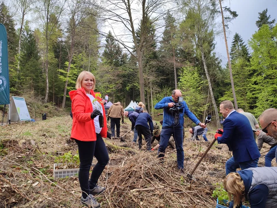 Nadleśnictwo Jugów: Druga edycja akcji „Łączą nas drzewa”