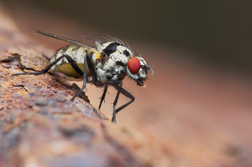 Grozi nam epidemia? - Zdjęcie główne