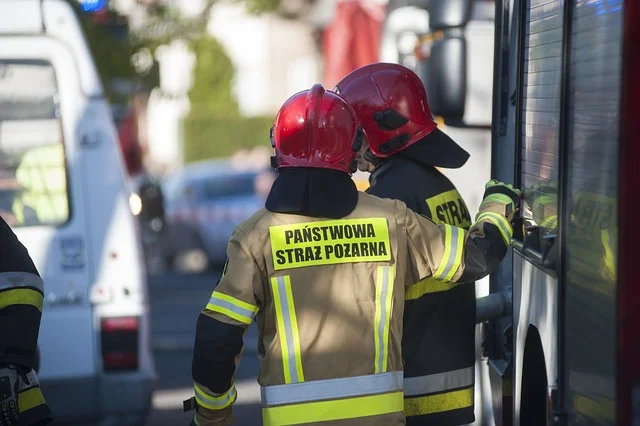 Wyciągnęli psa z Włodzicy w Ludwikowicach Kłodzkich - Zdjęcie główne