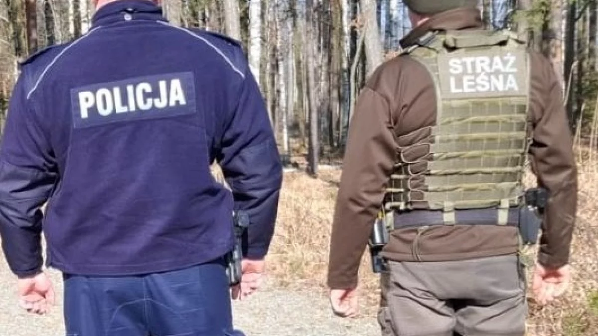 Powiat kłodzki. Wspólne działania Policji i Straży Leśnej przeciwko kłusownictwu [zdjęcia]