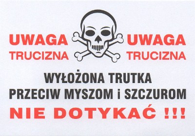 Ziębice. Obowiązkowa deratyzacja w każdej nieruchomości - Zdjęcie główne