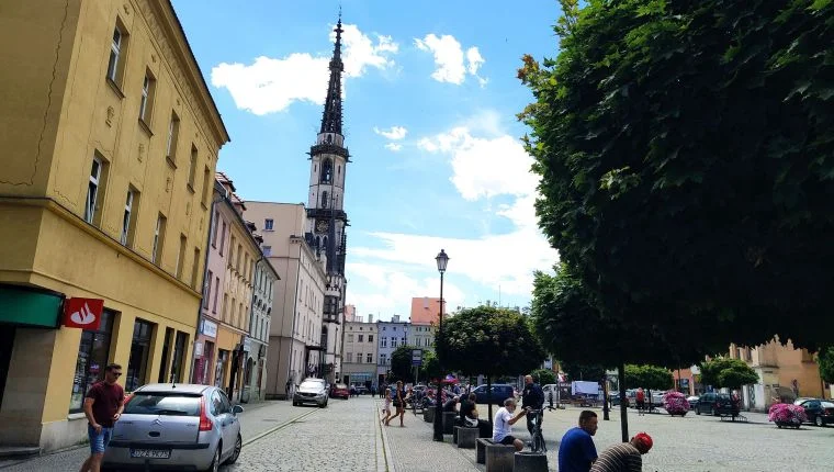 Ząbkowice Śląskie. Jastrzębie, sokoły i orły odstraszają gołębie w Rynku - Zdjęcie główne