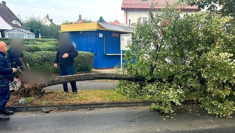 Ząbkowice Śląskie. Pijana za kółkiem uderzyła w inne auto i skosiła drzewo - Zdjęcie główne