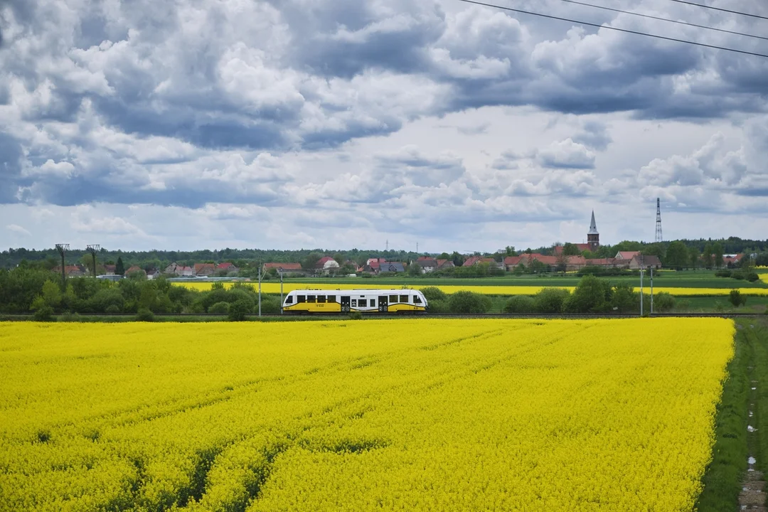 Koleje Dolnośląskie. Otwarcie linii Świdnica - Jedlina-Zdrój - Zdjęcie główne