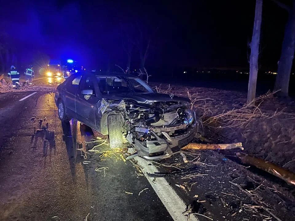 Kierowca Mercedesa uderzył swoim samochodem w drzewo, które spadło na jezdnię.