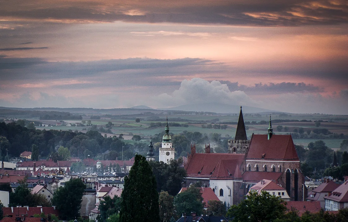 Ziębice chcą zostać Europejską Stolicą Kultury 2029 - Zdjęcie główne