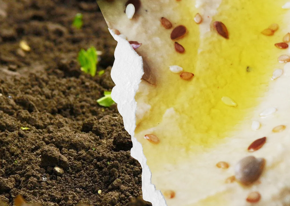 Gmina Ząbkowice Śląskie sprzedaje… humus - Zdjęcie główne