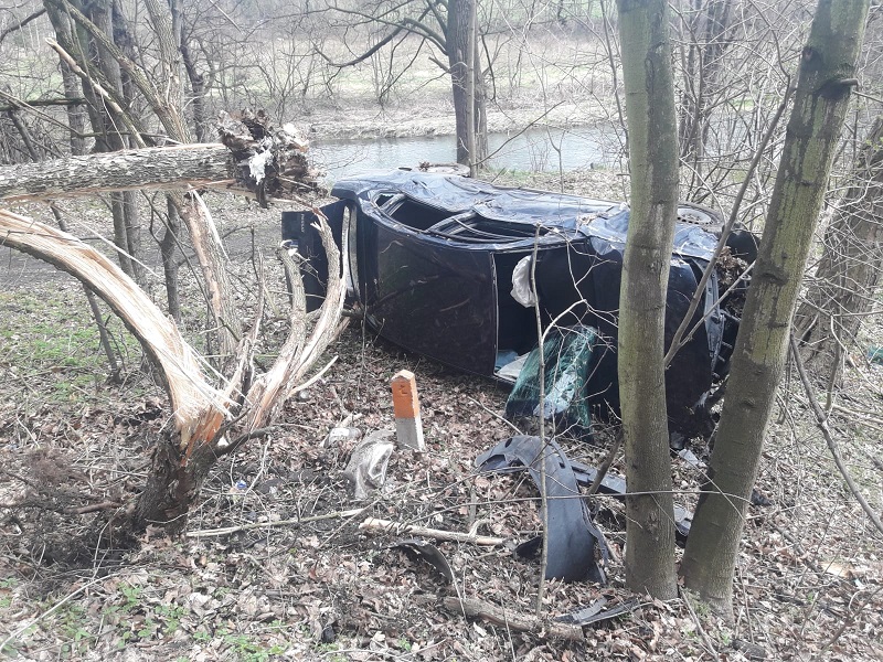 Bardo. Po pijaku uderzył w drzewo - Zdjęcie główne