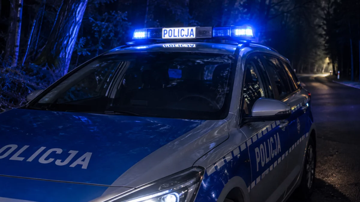 Nocne „grzybobranie” zakończyło się zatrzymaniem. Policja znalazła marihuanę i amfetaminę