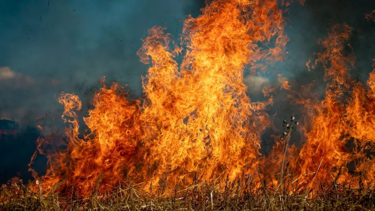 Sprawca poszukiwany, nagroda rośnie