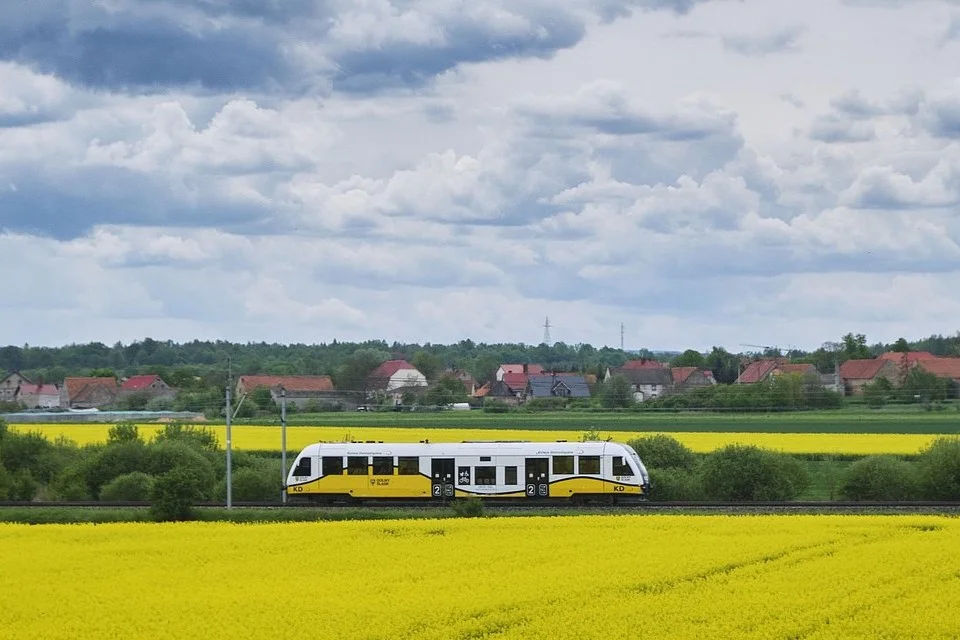 Koleje Dolnośląskie inwestują. Spółka ogłosiła przetarg na co najmniej 10 pociągów - Zdjęcie główne