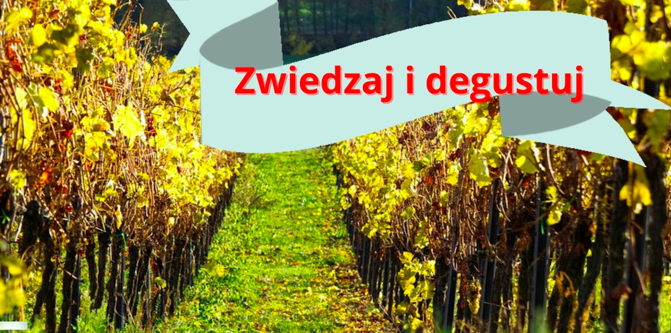 Dolnośląski szlak piwa i wina, czyli zwiedzaj i degustuj - Zdjęcie główne