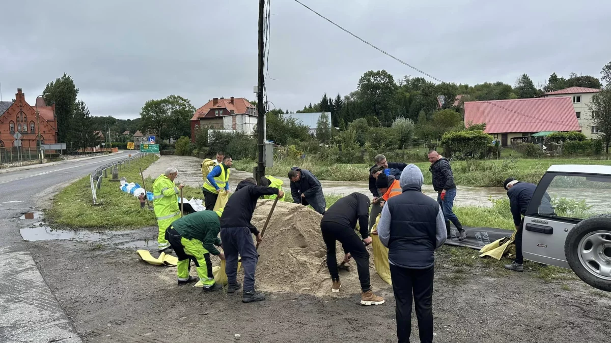 Ziębice. Walczą o brzeg - możesz, pomóż! - Zdjęcie główne