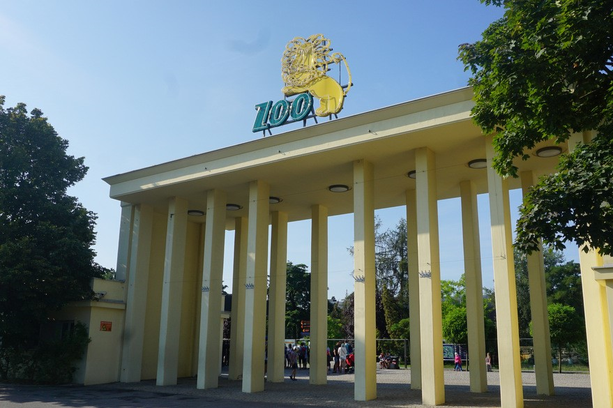 Na terenie ZOO znajduje się 12 pawilonów tematycznych, które przedstawiają wybrane regiony świata lub grupy zwierząt,  np. Oceanarium, Małpiarnia, Pawilon Madagaskar.  W budynku terrarium można wejść w świat kolorowych motyli. Dodatkową atrakcją są pokazowe karmienia, które realizowane są przez cały rok.