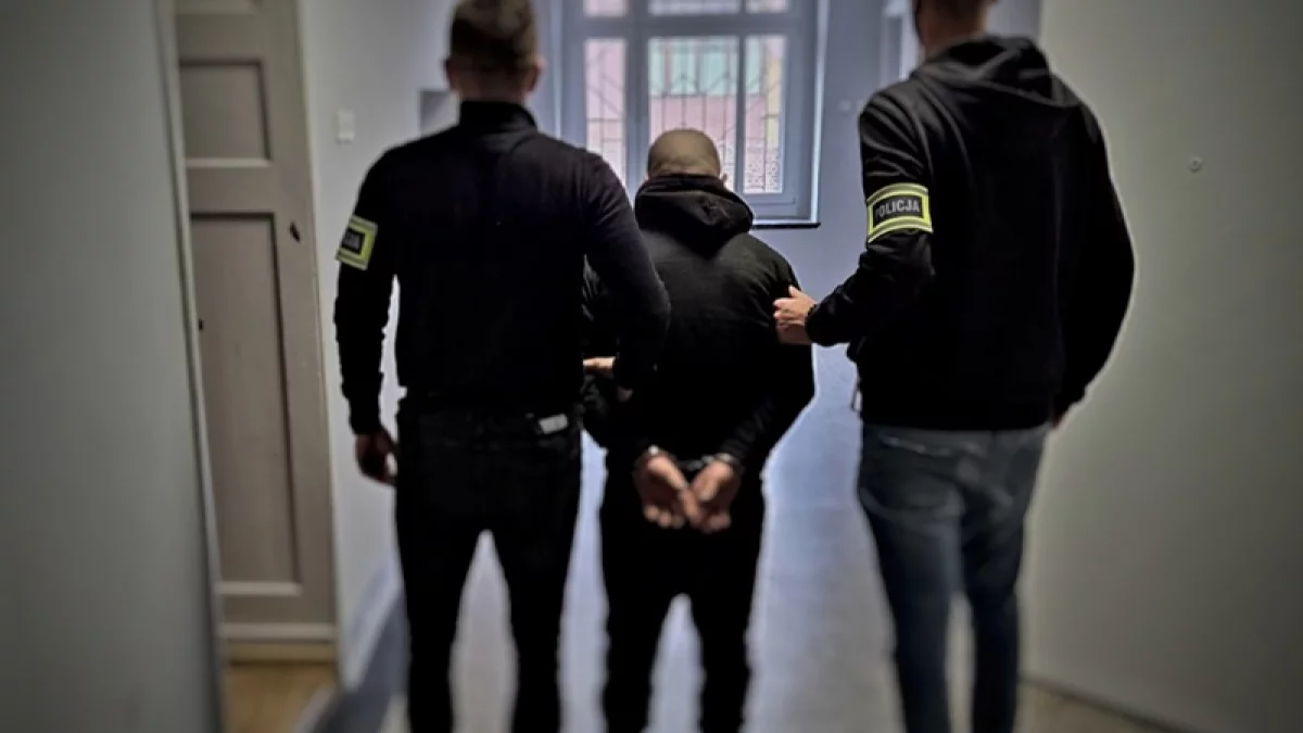 Ziębice. Nocny błysk latarki zdradził włamywacza