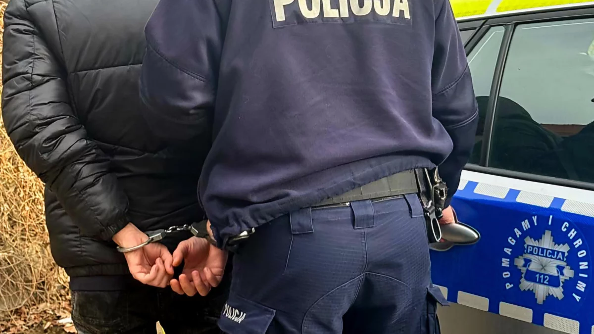 Kamieniec Ząbkowicki. Skuteczna interwencja policjantów - Zdjęcie główne