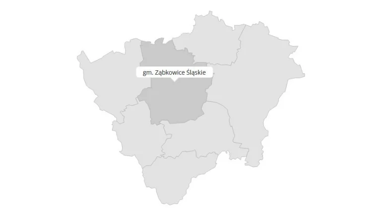 Wybory do Sejmu. Tak głosowała gmina Ząbkowice Śląskie - Zdjęcie główne