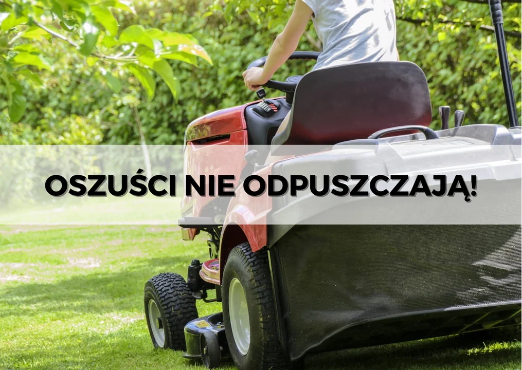 Powiat Ząbkowicki. Myślał, że trafił na okazję. Stracił sporo pieniędzy - Zdjęcie główne