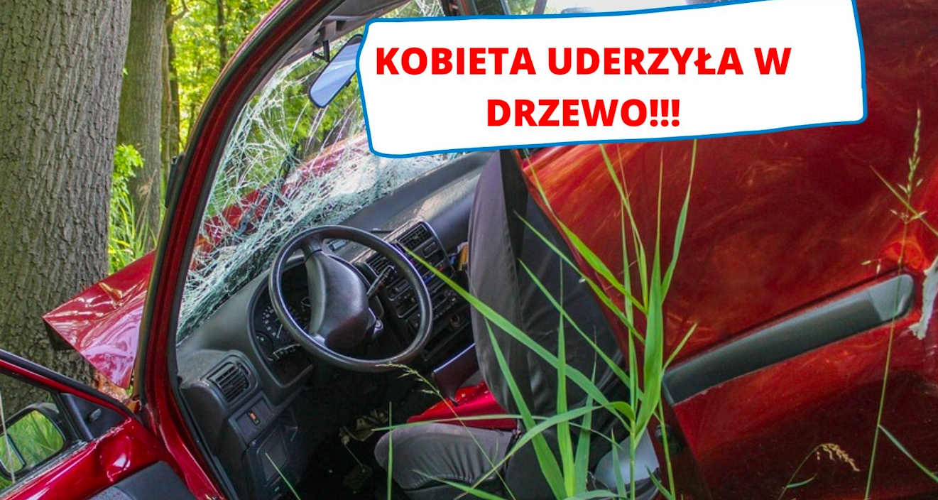 Gmina Ziębice: kobieta uderzyła w drzewo  - Zdjęcie główne