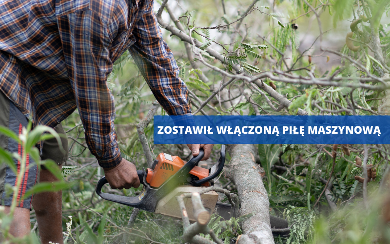 Powiat Ząbkowicki: Użądlił go szerszeń, zostawił włączoną piłę maszynową w lesie - Zdjęcie główne
