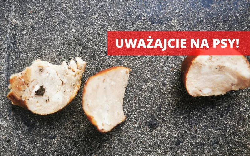 Bardo. Kiełbasa nadziana drutem. Uważajcie na swoje psy [aktualizacja] - Zdjęcie główne