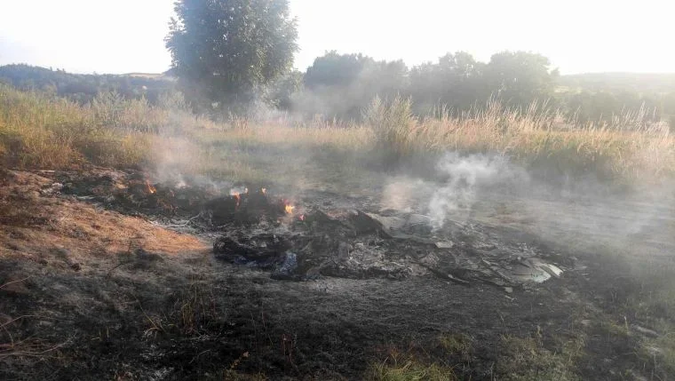 Różana. Pożar opon tuż przy polu z nieskoszonym zbożem - Zdjęcie główne