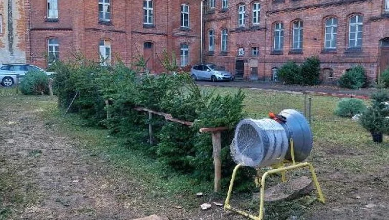 Ząbkowice Śląskie. Po ile choinki? - Zdjęcie główne