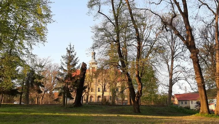 Bobolice. Poranek z książką w parku - Zdjęcie główne