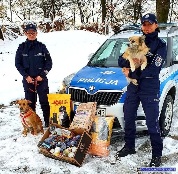 Policjanci z Ząbkowic organizują zbiórkę dla zwierząt - Zdjęcie główne