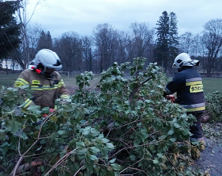 Cyklon Ulf ominął powiat ząbkowicki - Zdjęcie główne