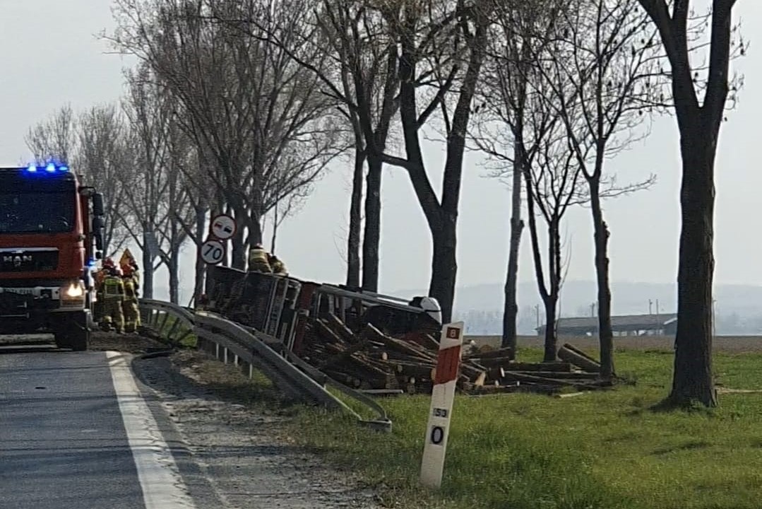 Braszowice: Kolizja na krajowej ósemce - Samochód ciężarowy przewożący drewno wpadł do rowu - Zdjęcie główne