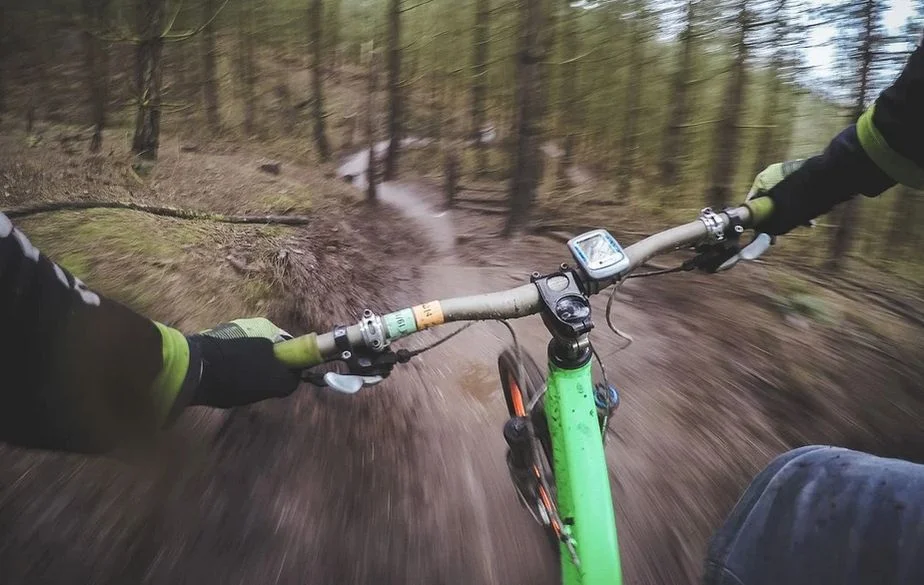 Nadleśnictwo Bardo. Utrudnienia na trasie singletrack - Zdjęcie główne