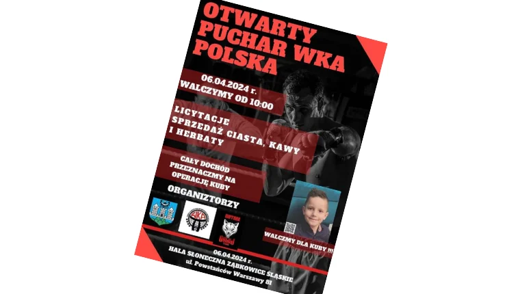 Ząbkowice Śl. Otwarty Puchar WKA Polska dla Kuby - Zdjęcie główne