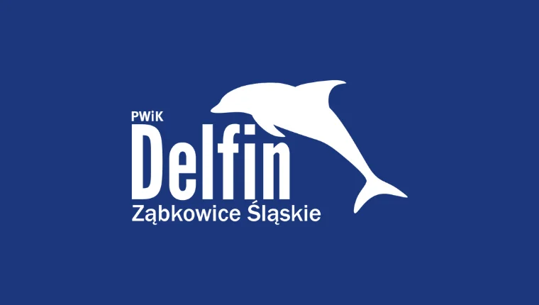 Ząbkowice Śl. Delfin będzie miał nowego prezesa - Zdjęcie główne