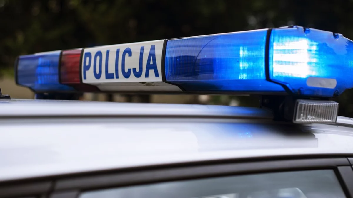 Nocna kontrola, nerwowy pasażer i narkotyki. To był dopiero początek serii zatrzymań