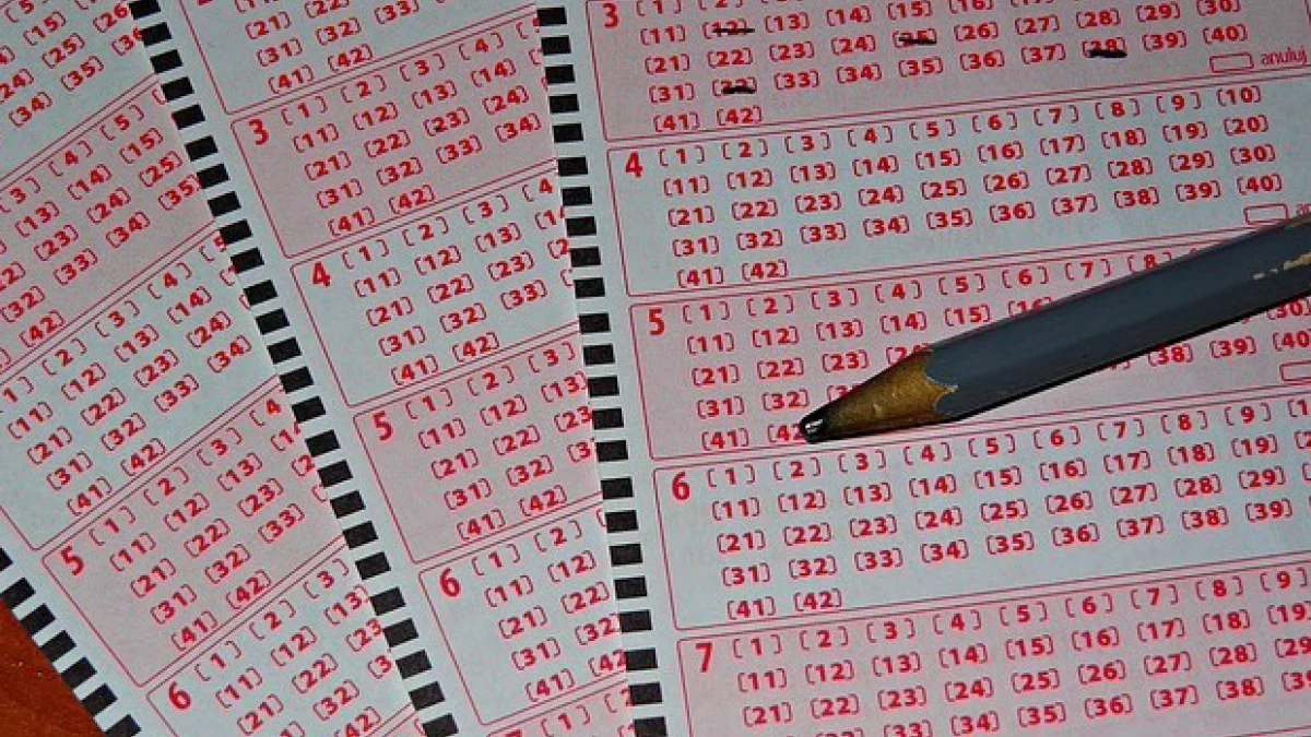 Powiat ząbkowicki. Lotto - ile wygrywają nasi mieszkańcy? - Zdjęcie główne