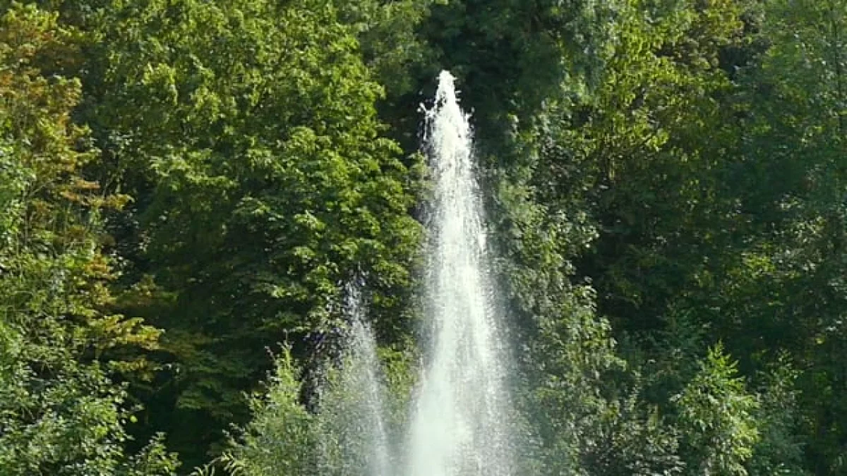 Woda w miejskich wodotryskach nie jest kontrolowana