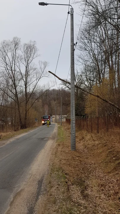 W Chwalisławiu strażacy usuwali powalone drzewo przed godz. 16.00.