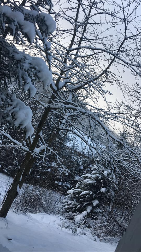 Poznasz, które zdjęcia są naszych Czytelników, a które gazetowych fotoreporterów?