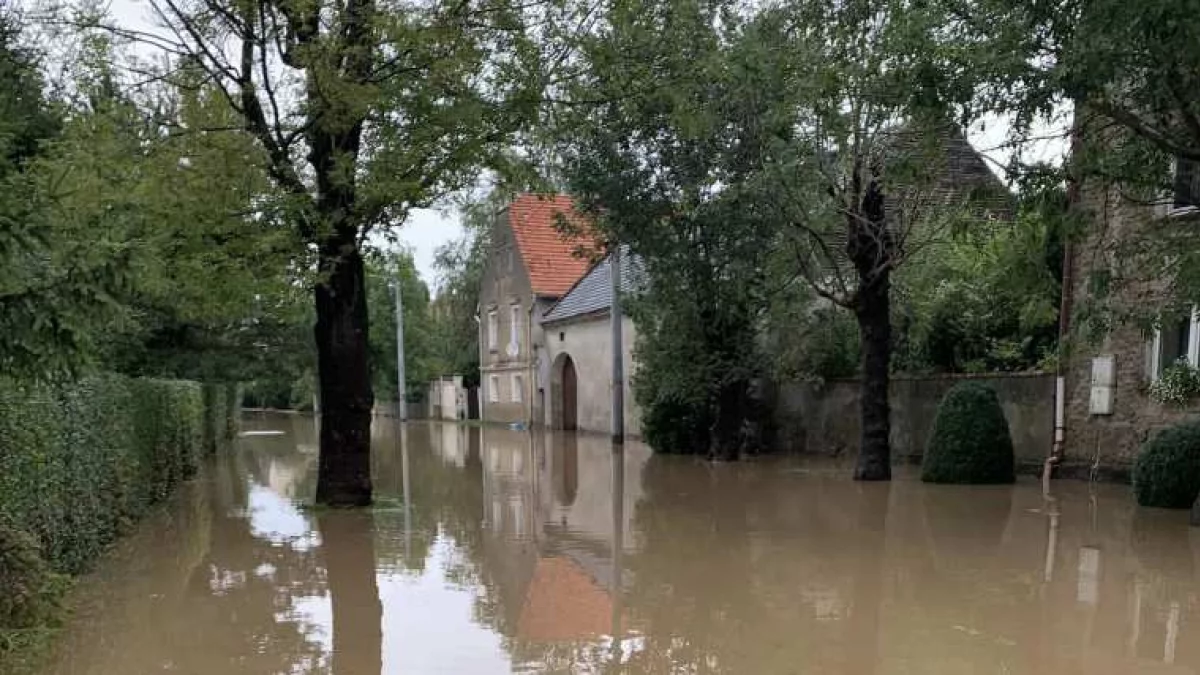 Przyłęk. Sołtys apeluje o pomoc - Zdjęcie główne