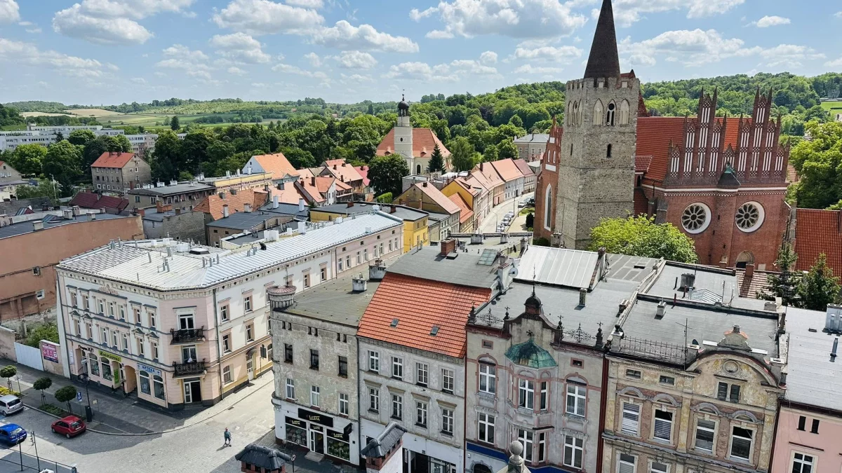 ZIĘBICE. Blisko 5 hektarów ziemi na sprzedaż. Gmina ogłosiła przetarg