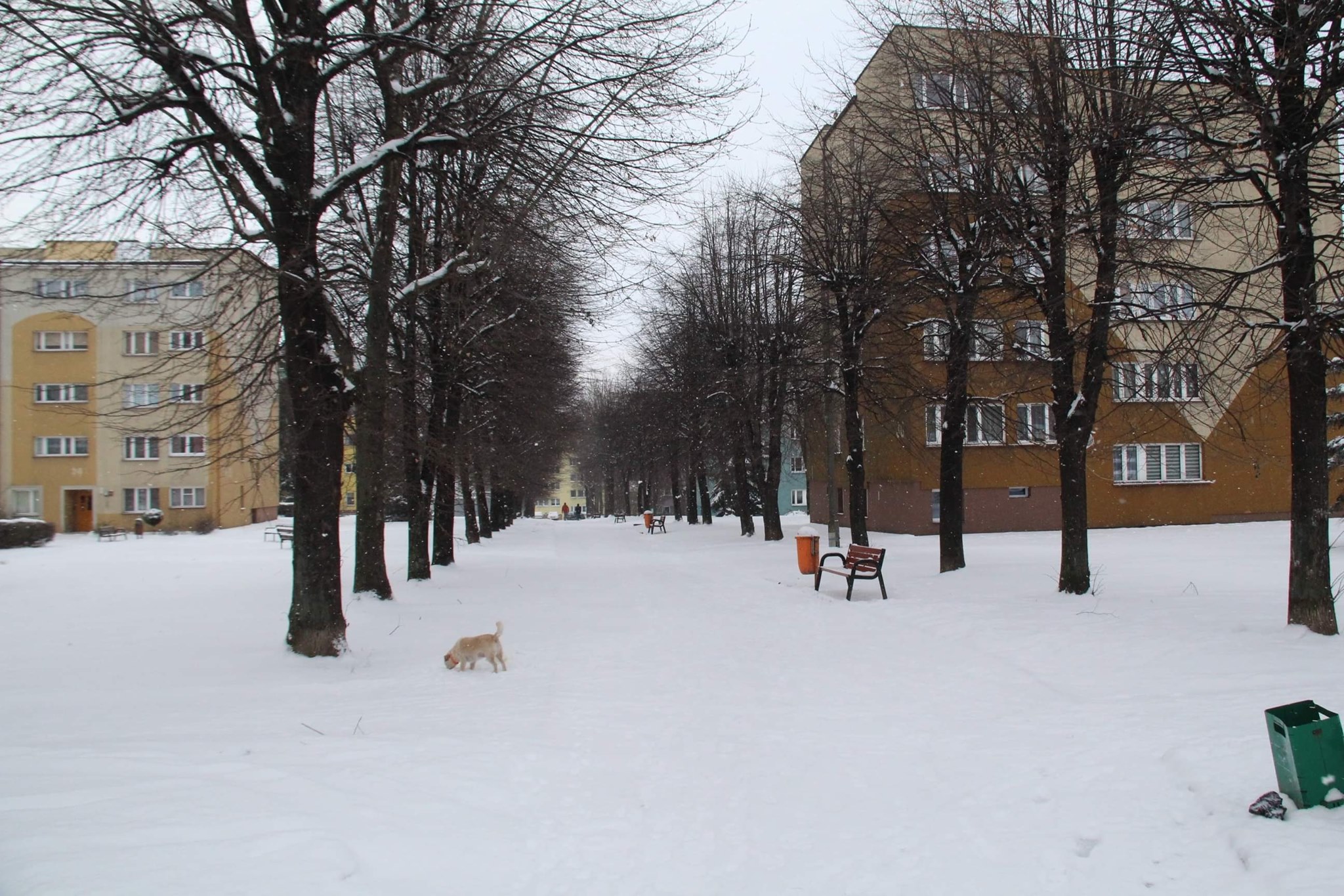 Poznasz, które zdjęcia są naszych Czytelników, a które gazetowych fotoreporterów?