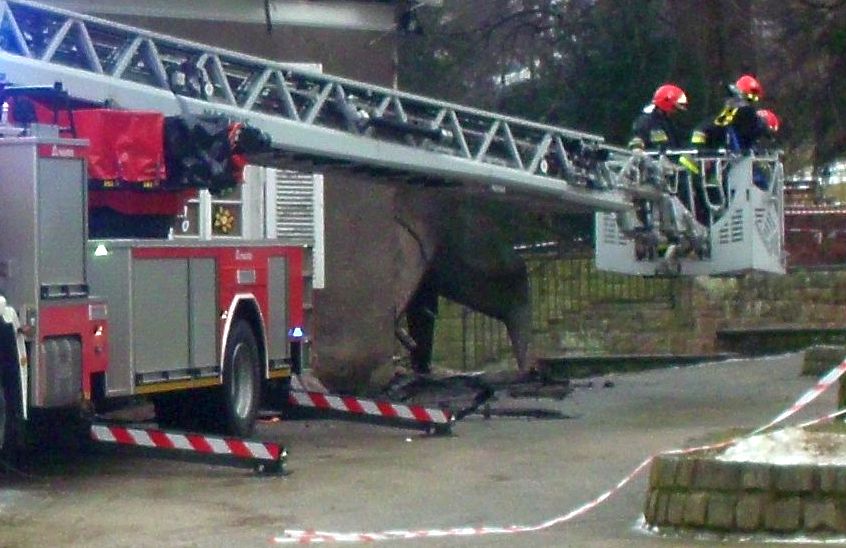 Płonęły samochody i altanka [raport strażaków] - Zdjęcie główne