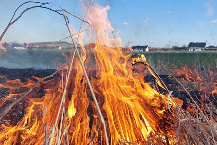 Powiat Ząbkowicki. Kończy się sezon na pożar sadzy w kominie, zaczyna się sezon na pożar suchej trawy - Zdjęcie główne