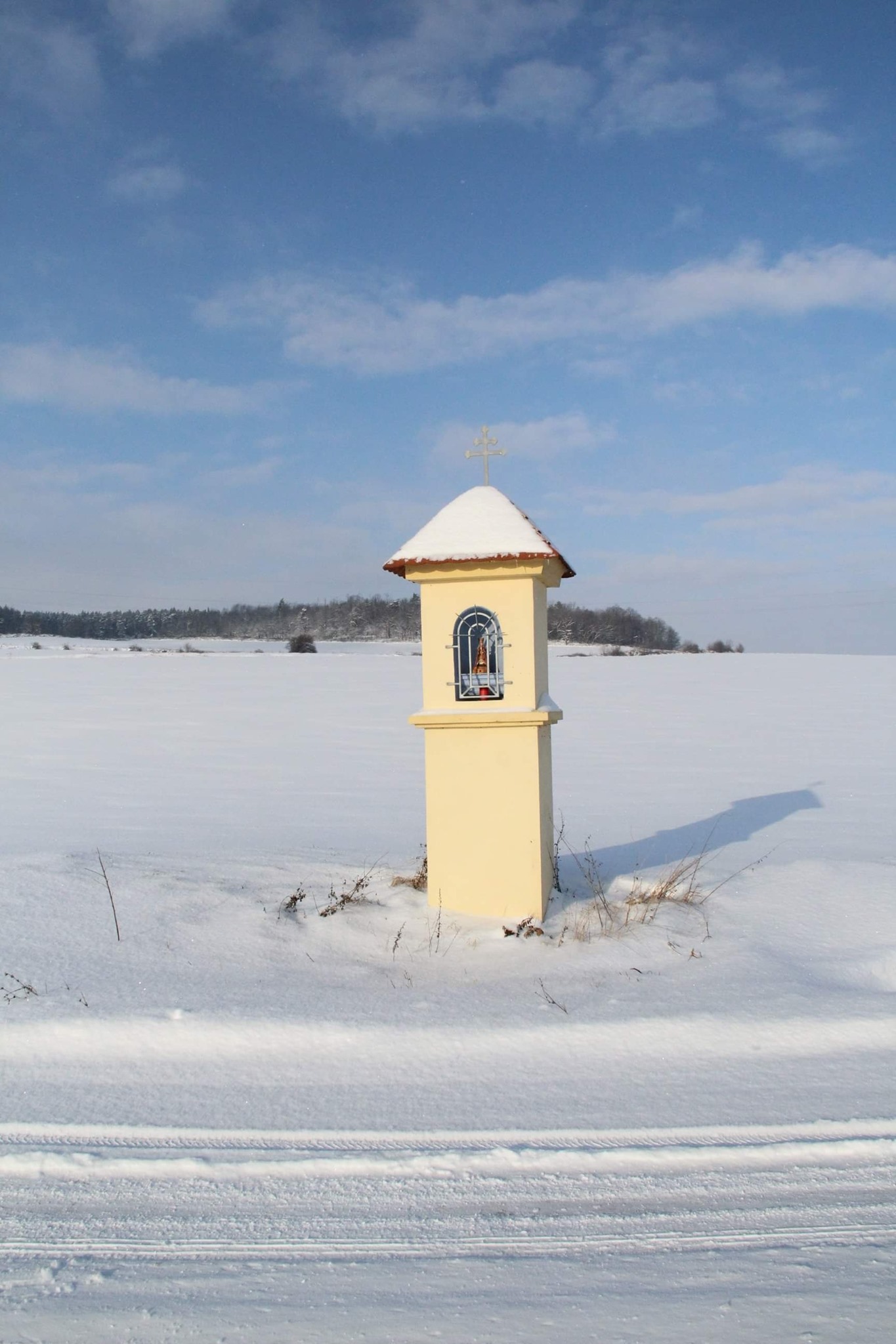 Poznasz, które zdjęcia są naszych Czytelników, a które gazetowych fotoreporterów?