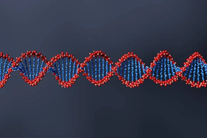 DNA nie pasuje do szczątków dziecka w walizce - Zdjęcie główne