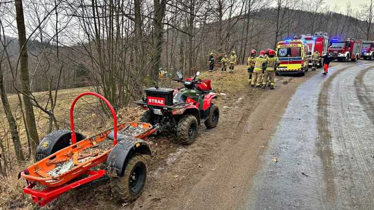 Stoszowice. Wypadek w trudno dostępnym terenie - Zdjęcie główne