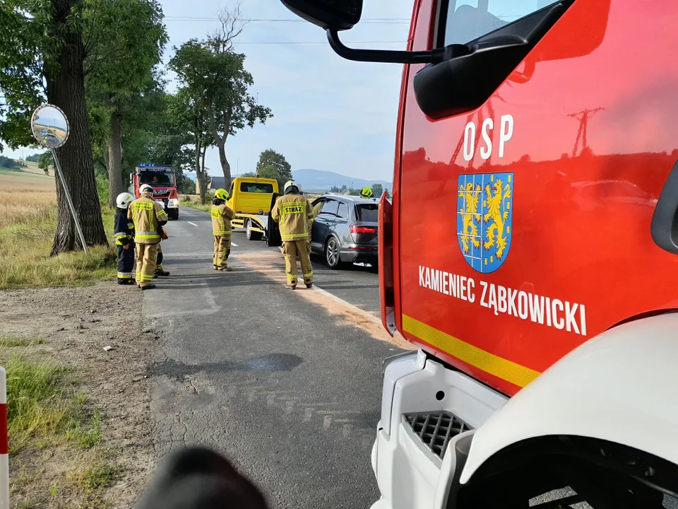 Kolizja między Złotym Stokiem, a Kamieńcem Ząbkowickim [zdjęcia] - Zdjęcie główne