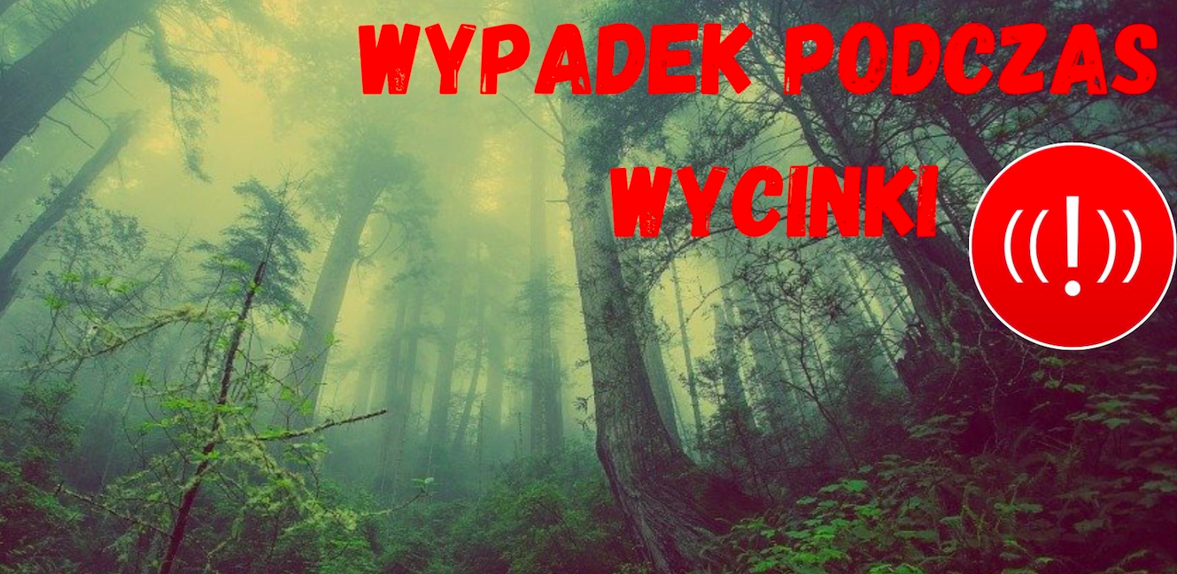 Jemna. Wypadek przy wycince drzew - Zdjęcie główne